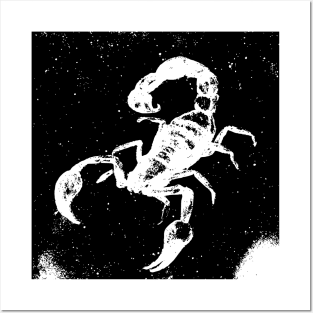 Scorpio zodiac design Posters and Art